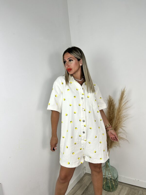 Mono Limones - Imagen 4