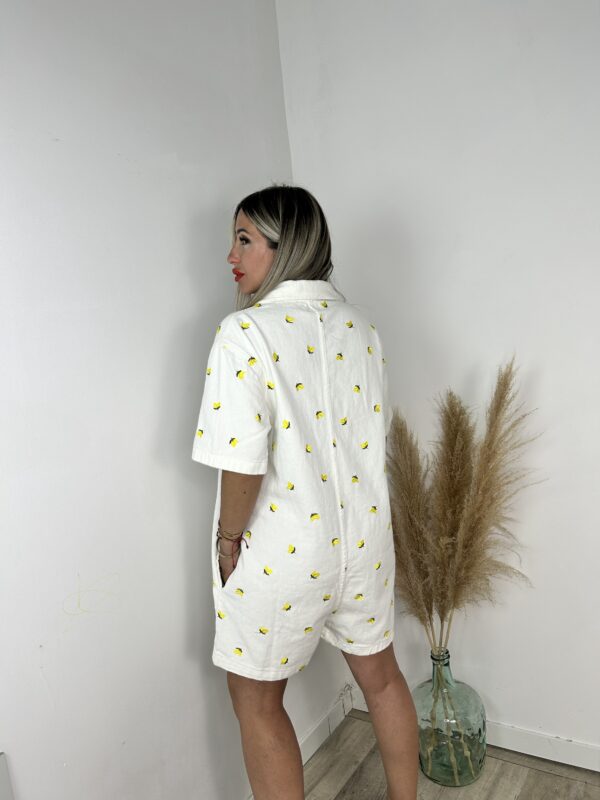 Mono Limones - Imagen 2