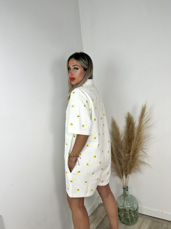 Mono Limones - Imagen 3
