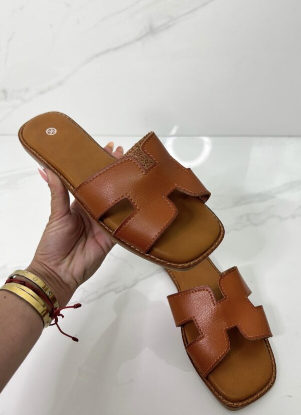 Palas H camel