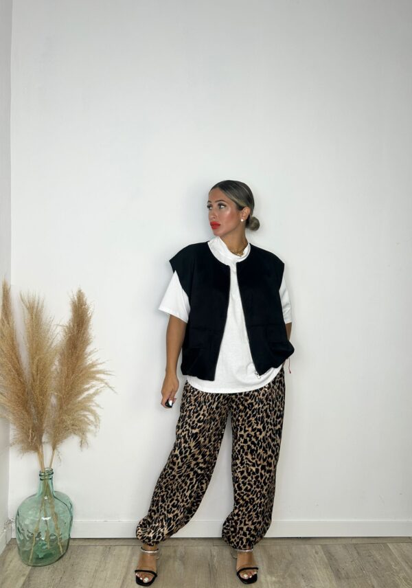 Bomber AnteLina - Imagen 3