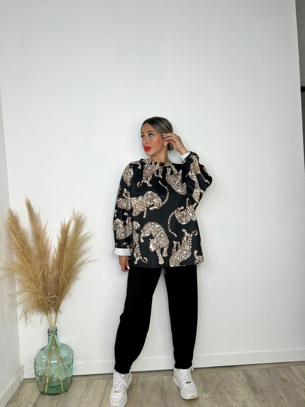 Conjunto Taiwan