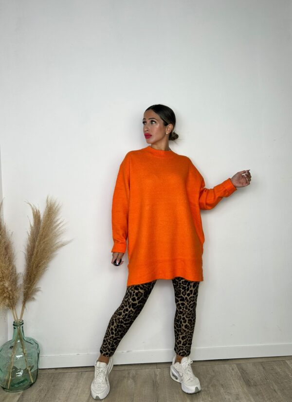 Jersey Miranda - Imagen 4